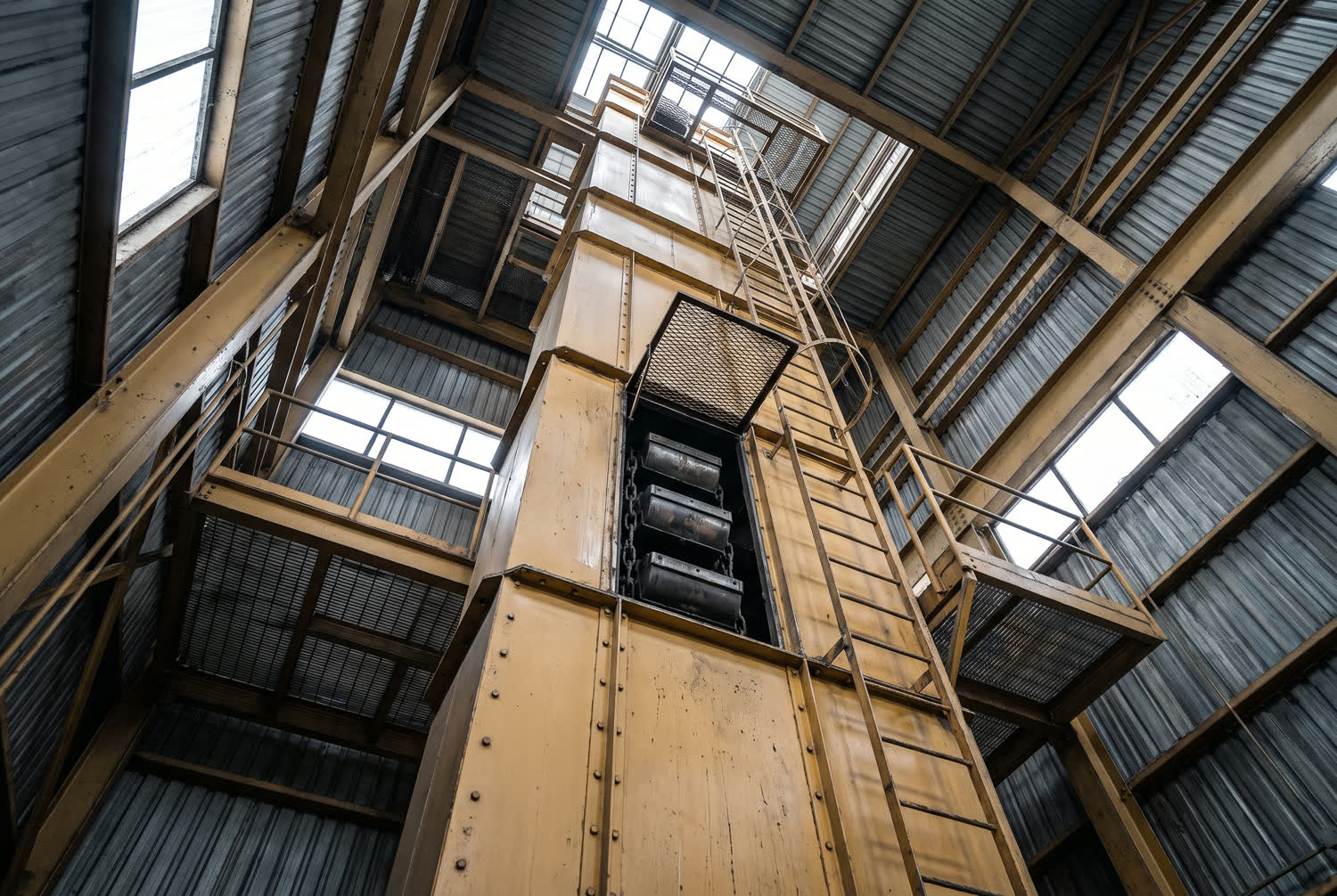 Elevador a cangilones montado dentro de una planta